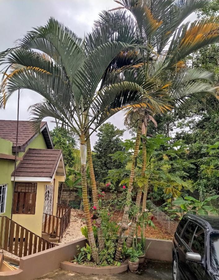 Gables Vacation Rentals With Private Gated Parking Onsite Knockpatrick المظهر الخارجي الصورة