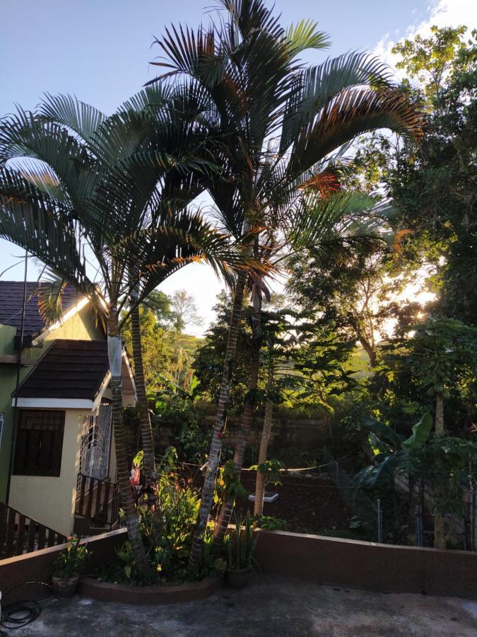 Gables Vacation Rentals With Private Gated Parking Onsite Knockpatrick المظهر الخارجي الصورة